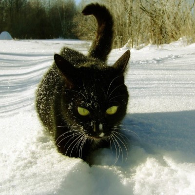 1920 x 1080 HD Wallpapers 1672